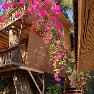 https://large-bungalow-with-sea-view-in-kabak-bay-oludeniz.turkeyfethiyehotels.com